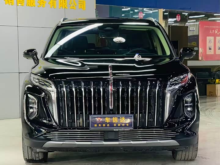 Фото 2 - Hongqi HS7