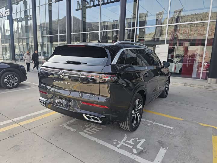 Фото 9 - Volkswagen Tavendor