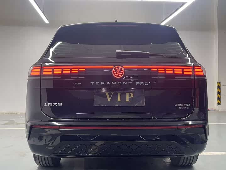 Фото 8 - Volkswagen Teramont Pro