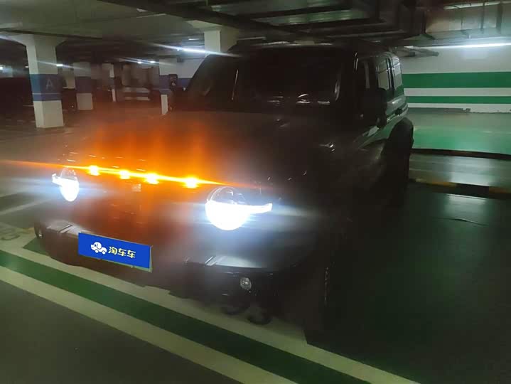 Фото 1 - Tank 300 Hybrid