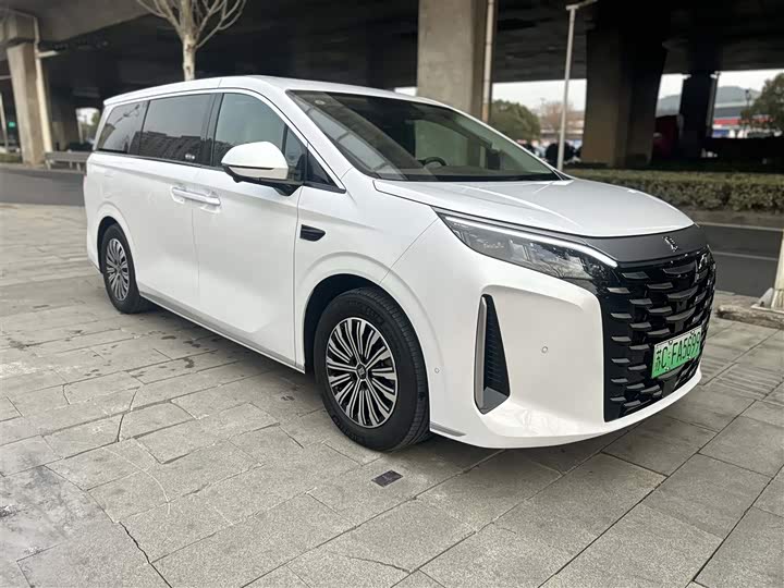 Фото 3 - BYD Xia