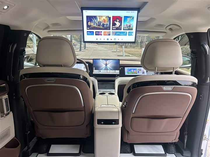 Фото 6 - BYD Xia