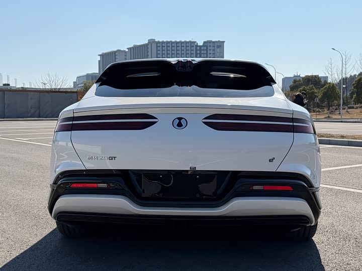 Фото 6 - Denza Z9GT