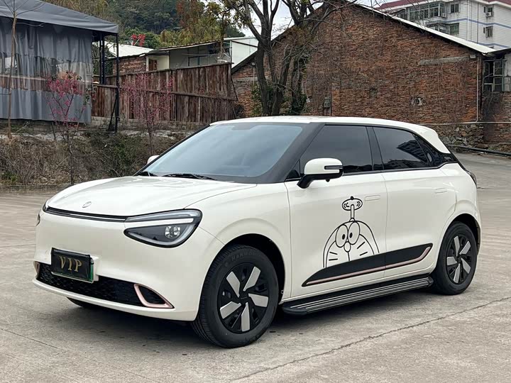 Фото 1 - Dongfeng Nammi 01