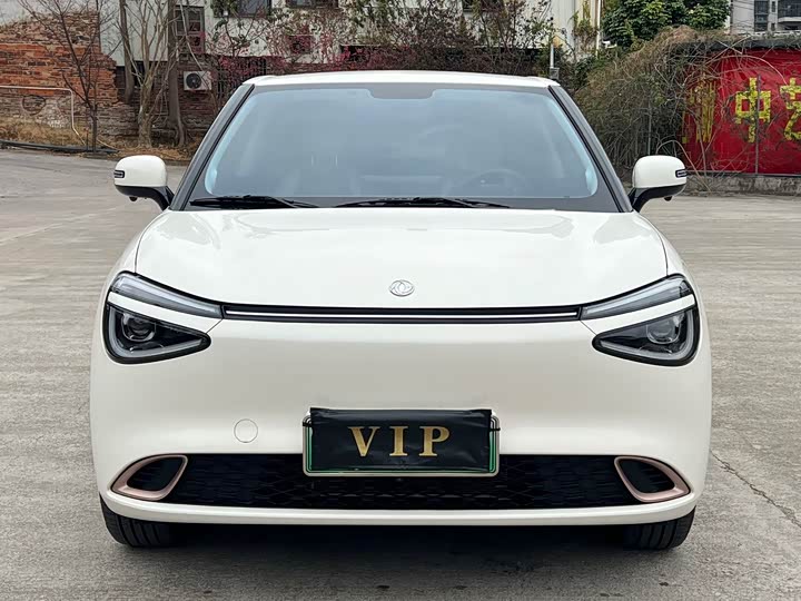 Фото 2 - Dongfeng Nammi 01