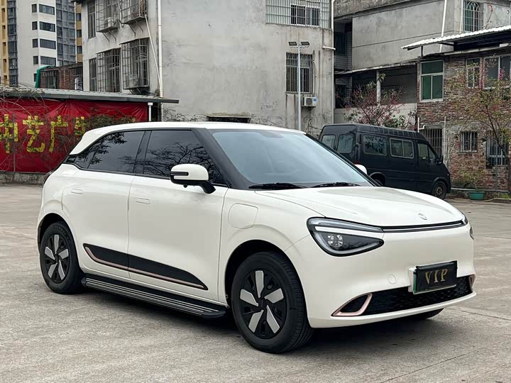 Фото 3 - Dongfeng Nammi 01