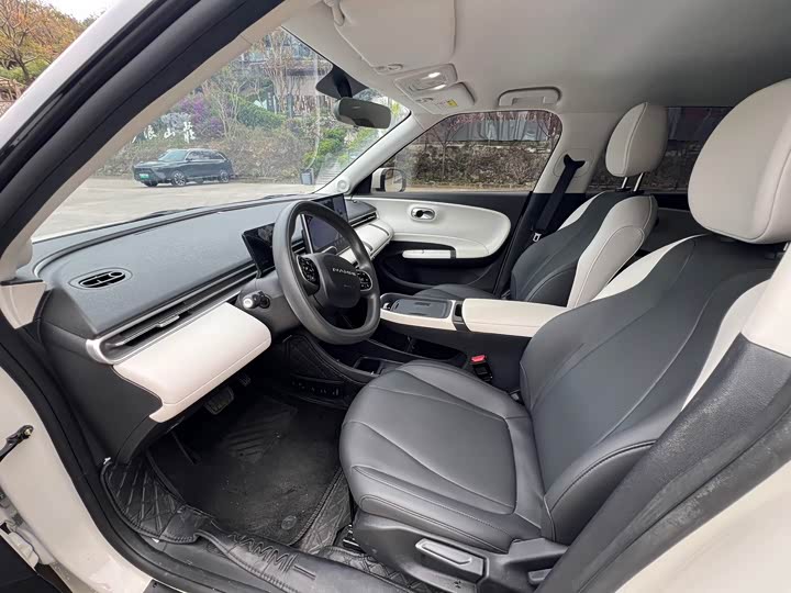 Фото 6 - Dongfeng Nammi 01