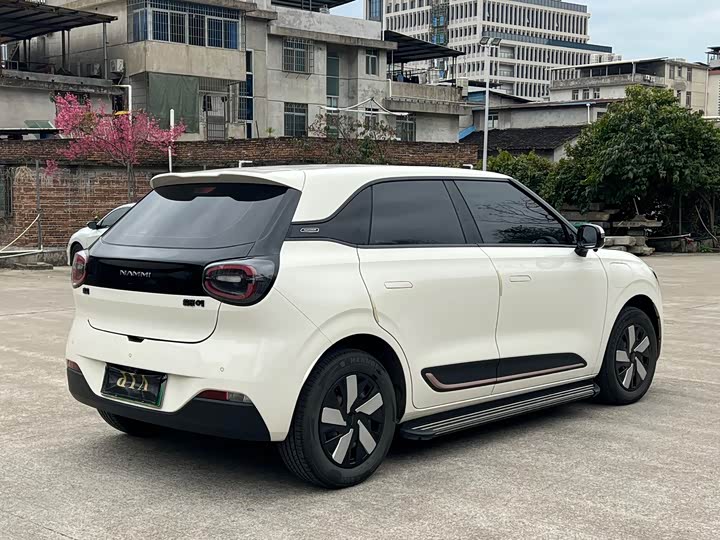 Фото 7 - Dongfeng Nammi 01