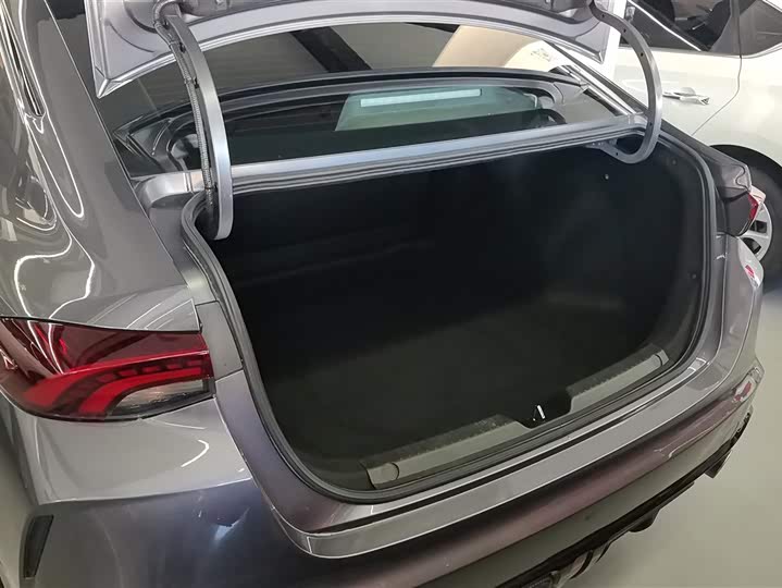 Фото 4 - GAC Trumpchi Empow R