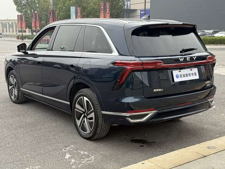 Фото 4 - Wey Lanshan