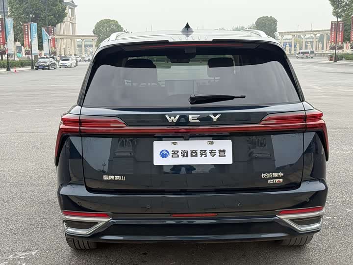 Фото 5 - Wey Lanshan