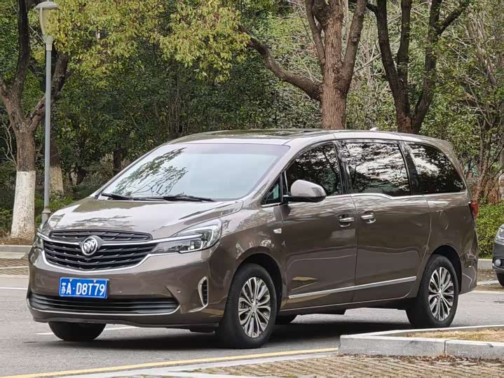 Фото 1 - Buick GL8 ES