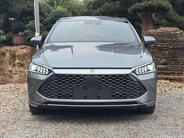 Фото 2 - BYD Qin Plus