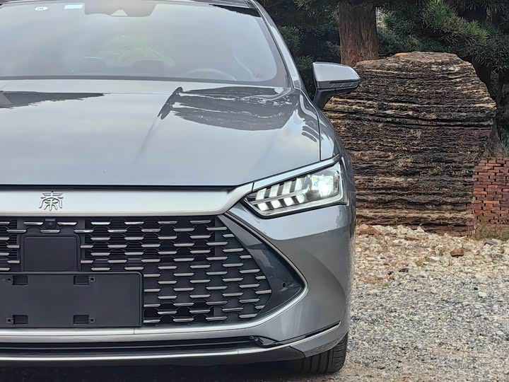 Фото 4 - BYD Qin Plus