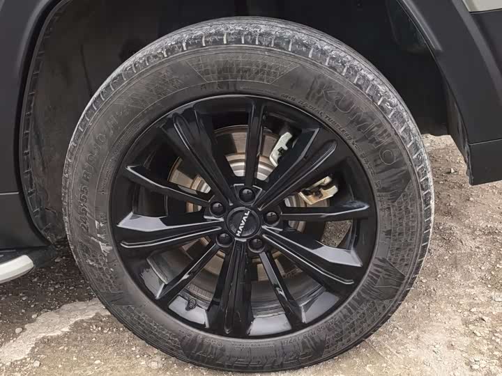 Фото 7 - Haval Raptor Hybrid