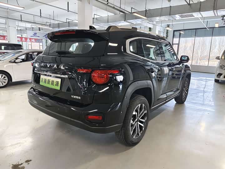 Фото 4 - Haval H-Dog