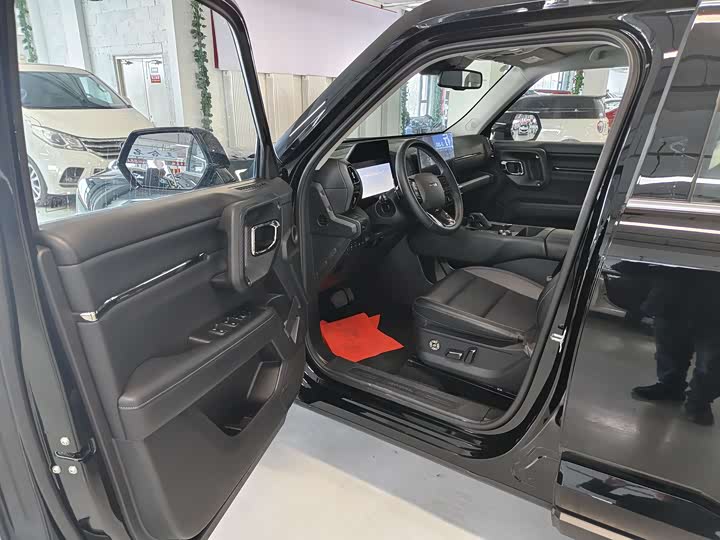 Фото 8 - Haval H-Dog