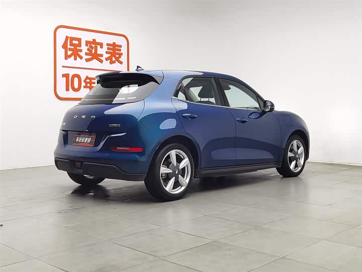 Фото 2 - Ora Good Cat (03)