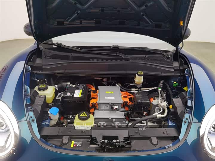 Фото 6 - Ora Good Cat (03)