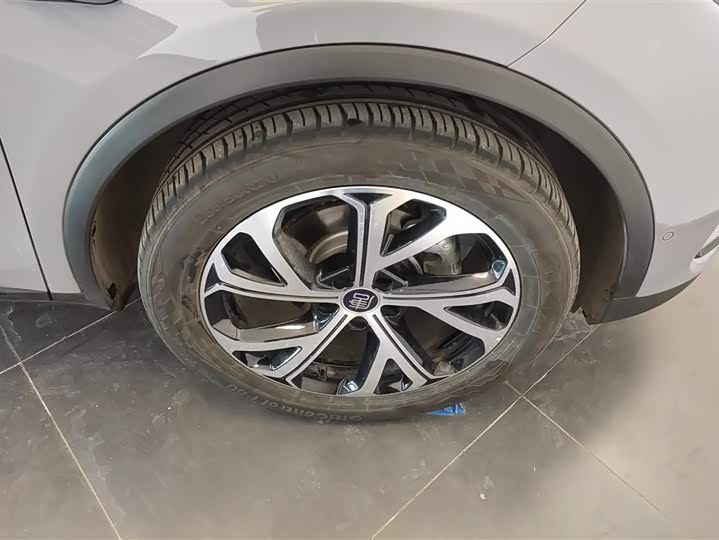 Photo 6 - BYD Tang Hybrid/EV