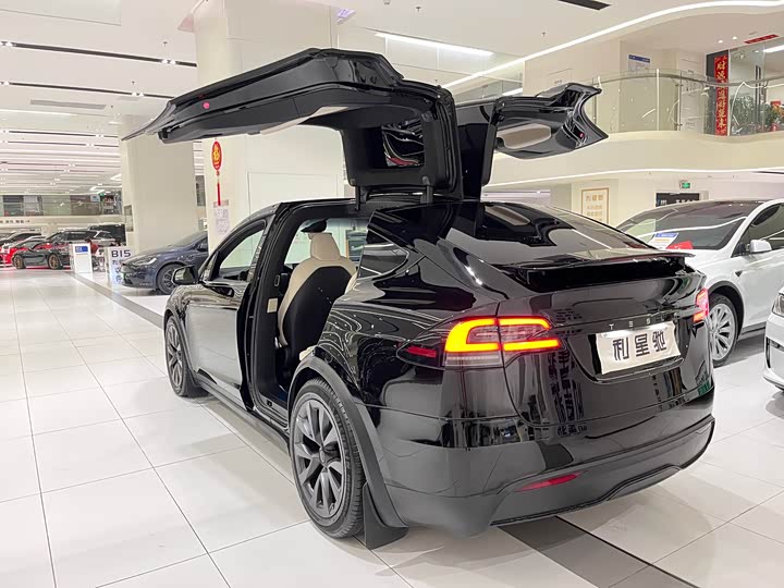 Фото 3 - Tesla Model X
