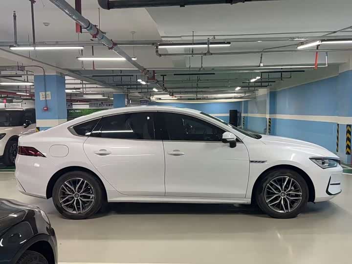 Фото 4 - BYD Qin Plus