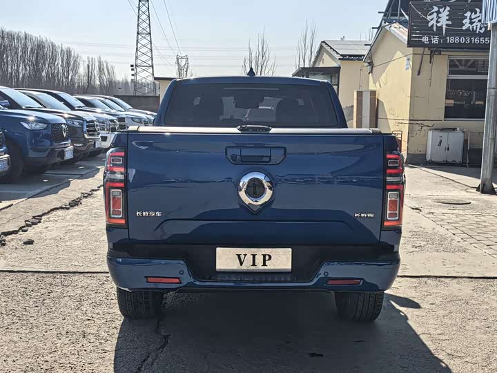 Фото 3 - Great Wall Pao