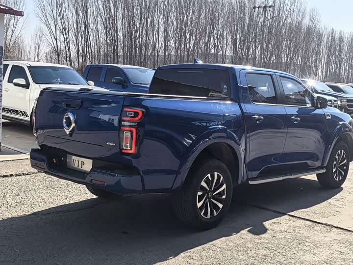 Фото 6 - Great Wall Pao