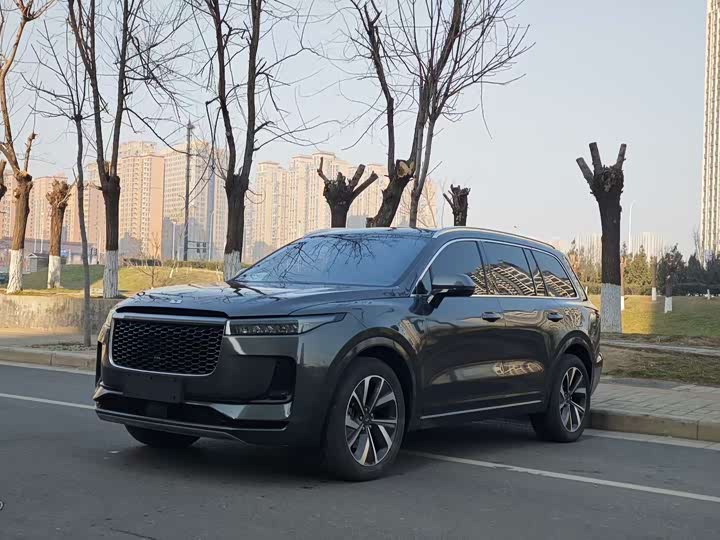 Фото 1 - LiXiang One