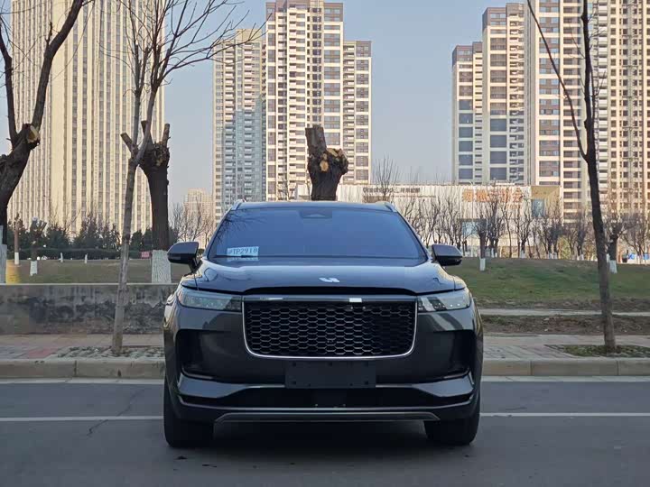 Фото 2 - LiXiang One