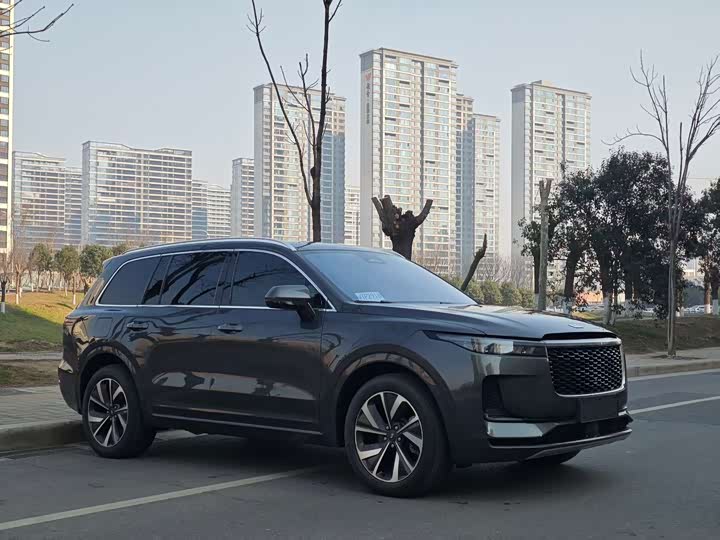 Фото 3 - LiXiang One