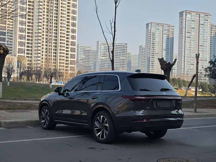 Фото 7 - LiXiang One