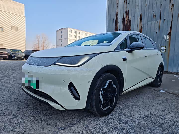 Фото 1 - BYD Dolphin