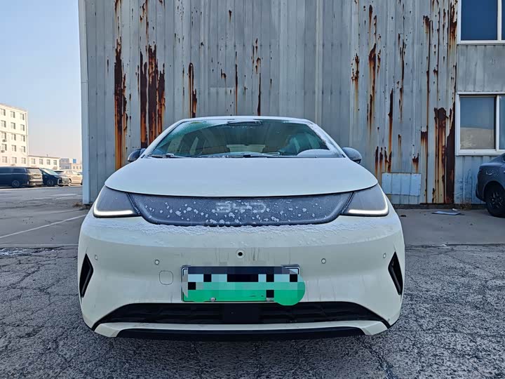 Фото 2 - BYD Dolphin