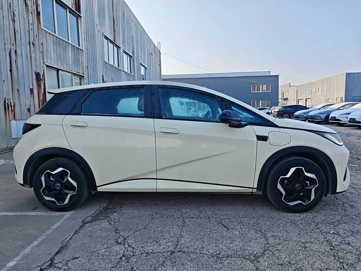 Фото 4 - BYD Dolphin