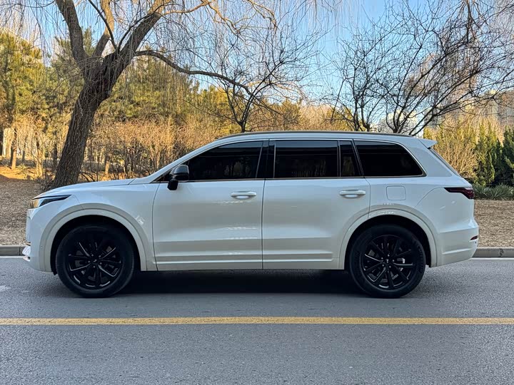 Фото 7 - LiXiang One