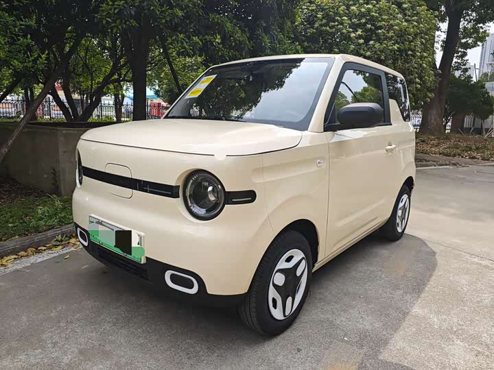 Фото 1 - Geely Galaxy Panda Mini