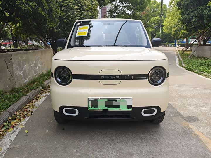 Фото 2 - Geely Galaxy Panda Mini