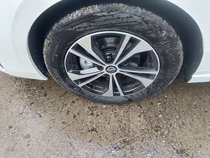 Фото 7 - Nissan Sylphy