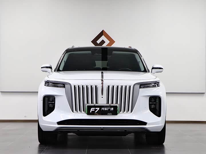 Фото 2 - Hongqi E-HS9