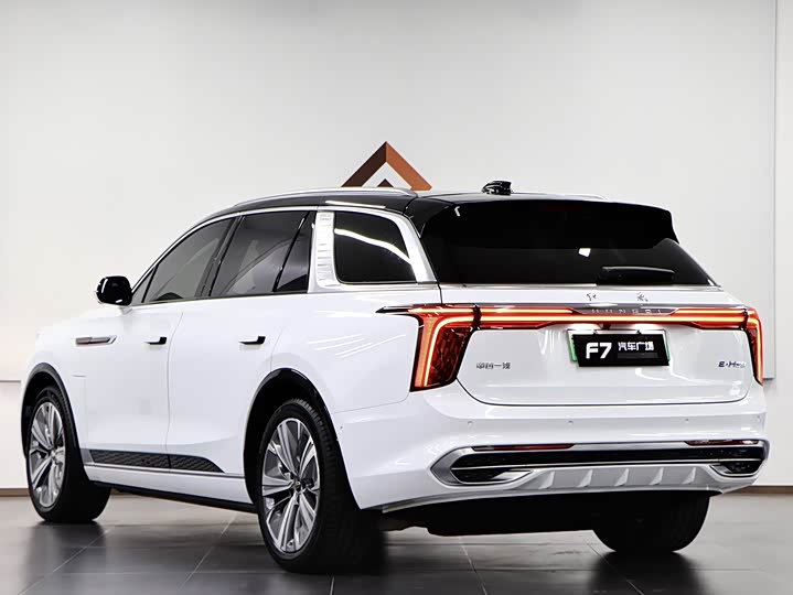 Фото 4 - Hongqi E-HS9