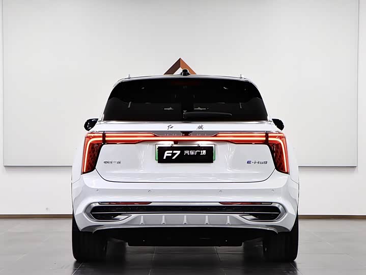 Фото 5 - Hongqi E-HS9