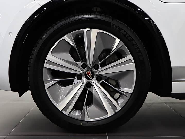 Фото 8 - Hongqi E-HS9