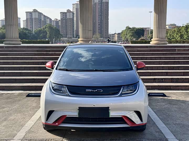 Фото 2 - BYD Dolphin