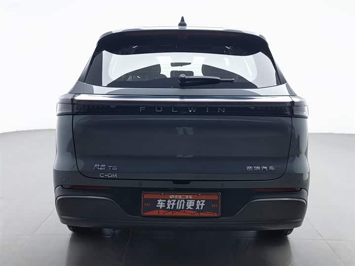 Фото 4 - Chery Fulwin T8