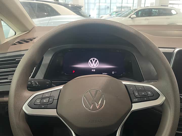Фото 6 - Volkswagen Viloran