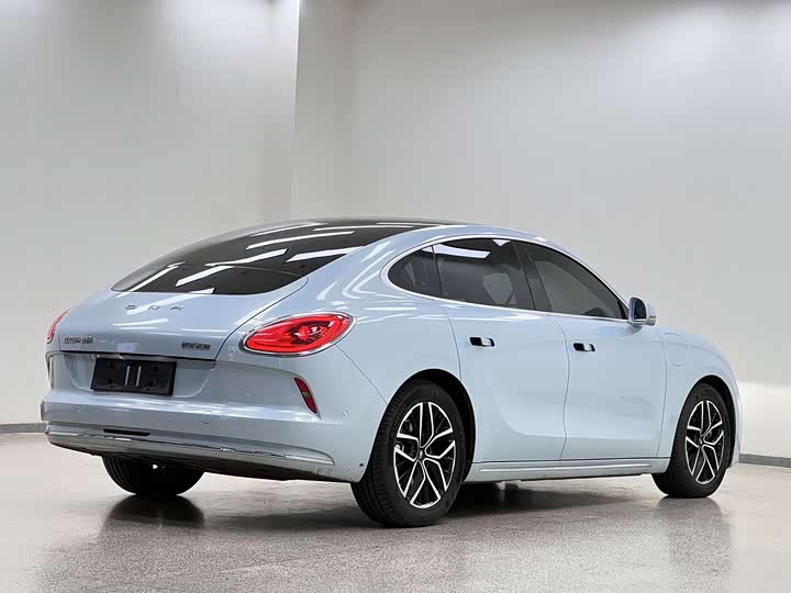 Фото 4 - Ora Lightning Cat (07)