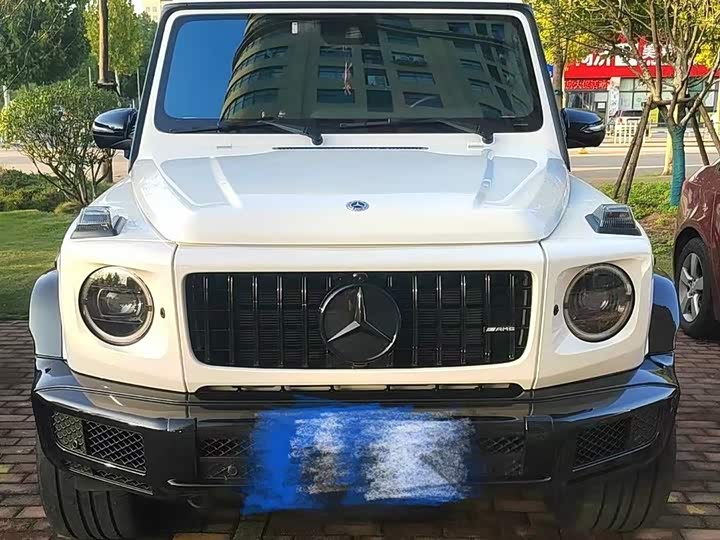 Фото 1 - Mercedes-Benz G-Class