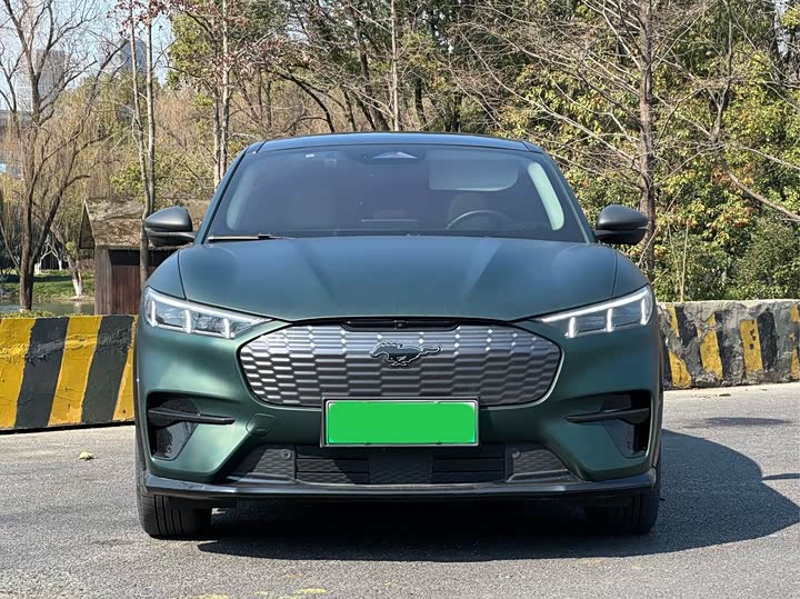 Фото 2 - Ford Mustang Mach-E