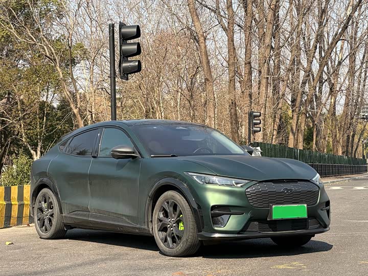 Фото 3 - Ford Mustang Mach-E